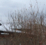 В одном из дворов нашли тело девятилетнего мальчика - Bratsk.Org