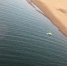 В заливе Братского водохранилища обнаружен автомобиль с водителем внутри - Bratsk.Org