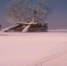 День 21 февраля, среда - Наш Братск