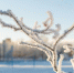День 8 февраля, пятница - Наш Братск