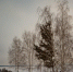 День 21 февраля, четверг - Наш Братск