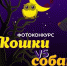 Новая фотобитва - "Кошки против собак"! - Братская Студия Телевидения