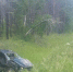 В БРАТСКЕ ГИБДД РАЗЫСКИВАЕТ ОЧЕВИДЦЕВ ДВУХ АВАРИЙ - Газета Вечерний Братск