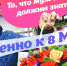 Поговорим на языке цветов? - Братская Студия Телевидения