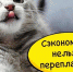 Как мы обманываемся в попытках экономить? - Братская Студия Телевидения