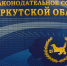 Не все депутаты Заксобрания от Братска поддержали бюджет Иркутской области на три года - Bratsk.Org