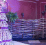 В Братске состоялся показ модной одежды ID` PODIUM - Bratsk.Org