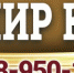 Владимир Курский - ТРК Братск