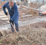 Общегородской субботник прошел в Братске 24 апреля - Bratsk.Irk.Today