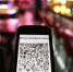 Голикова объявила переходный период по введению QR-кодов до 1 февраля - Братская Студия Телевидения