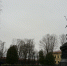 DSC06760 - New-Bratsk.Ru