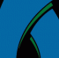 logo - Филиал БГУ в г. Братске