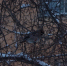 IMG_3294 - New-Bratsk.Ru