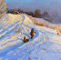 Погода 23 января — -14°С - Наш Братск