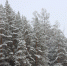 IMG_3525 - New-Bratsk.Ru