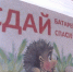 Главные по экологии. Два братских сада получили «Знак экологической культуры» - Bratsk.Org