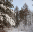 День 16 февраля четверг - Наш Братск