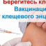 В Братске проходит вакцинация от клещевого энцефалита - Наш Братск