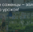 Поделитья во ВКонтакте - Братская Студия Телевидения