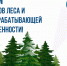 17 сентября - День работников леса и лесоперерабатывающей промышленности! - БрГУ