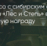 Поделитья во ВКонтакте - Братская Студия Телевидения