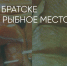 Поделитья во ВКонтакте - Братская Студия Телевидения