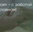 Поделитья во ВКонтакте - Братская Студия Телевидения