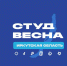 Приглашаем к участию в фестивалю - БрГУ