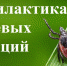 Роспотребнадзор проводит горячую линию о профилактике клещевых инфекций - Администрация Братского района