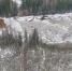 Уровни воды растут в реках Непа и Лена на севере Иркутской области 21 - Bratsk.Irk.Today