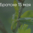 Поделитья во ВКонтакте - Братская Студия Телевидения