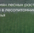 Поделитья во ВКонтакте - Братская Студия Телевидения