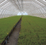В Братске успешно развиваются предприятия по глубокой переработке древесины - Администрация г. Братск