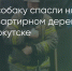 Поделитья во ВКонтакте - Братская Студия Телевидения