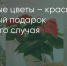 Поделитья во ВКонтакте - Братская Студия Телевидения