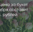 Поделитья во ВКонтакте - Братская Студия Телевидения