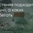 Поделитья во ВКонтакте - Братская Студия Телевидения