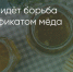 Поделитья во ВКонтакте - Братская Студия Телевидения