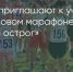 Поделитья во ВКонтакте - Братская Студия Телевидения