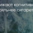 Поделитья во ВКонтакте - Братская Студия Телевидения