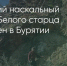 Поделитья во ВКонтакте - Братская Студия Телевидения