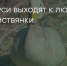 Поделитья во ВКонтакте - Братская Студия Телевидения