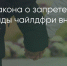 Поделитья во ВКонтакте - Братская Студия Телевидения