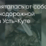 Поделитья во ВКонтакте - Братская Студия Телевидения