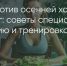Поделитья во ВКонтакте - Братская Студия Телевидения