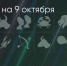Поделитья во ВКонтакте - Братская Студия Телевидения