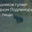 Поделитья во ВКонтакте - Братская Студия Телевидения