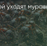 Поделитья во ВКонтакте - Братская Студия Телевидения
