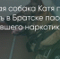 Поделитья во ВКонтакте - Братская Студия Телевидения