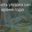 Поделитья во ВКонтакте - Братская Студия Телевидения